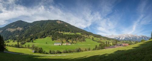 Rojerhof - image 9