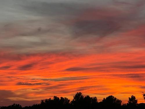 La Borie en Provence - image 8