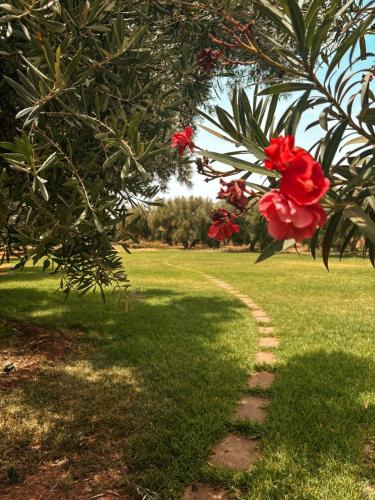 Domaine Golfique Lamrah - 10 Suites Domaine Golfique Lamrah - 10 Suites