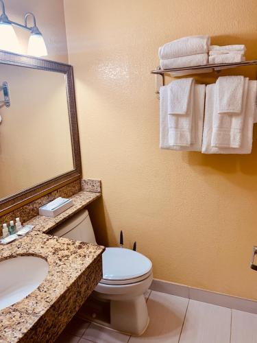 Regency Inn &Suites - image 13