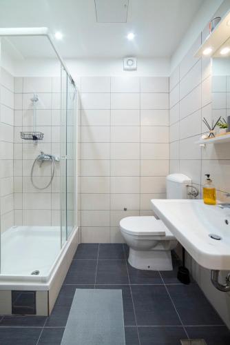 Studio Apartment Matija 4
