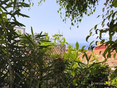 Casa Flora Garden Studio (Gite) - Tap to explore photos