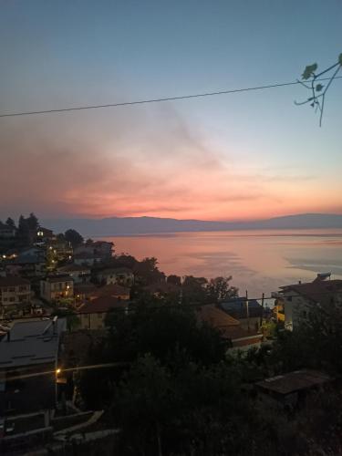 Apartments Stefan Trpejca in Trpejca