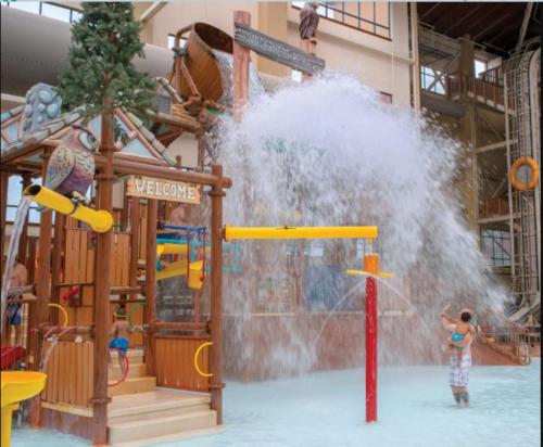 Beautiful Resort in Great Smokies Lodge 2BD Deluxe near Hillside Winery - image 3