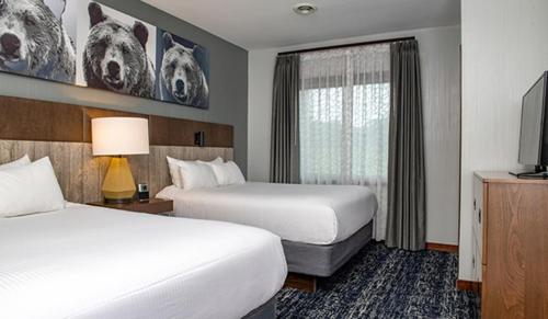 Beautiful Resort in Glacier Canyon 2BD Deluxe near Circus World - image 3