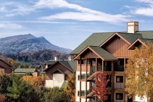 Beautiful Hotel in Smoky Mountains 2BD Gateway to the Smokies - image 10