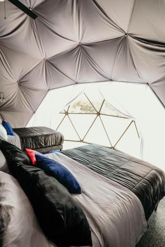 DayDreamer Domes - image 4