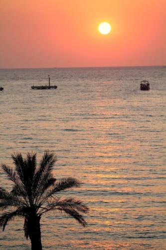 Sozer Hotel - image 9