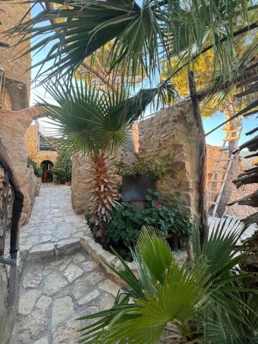 Dana Tower Hotel in Dana