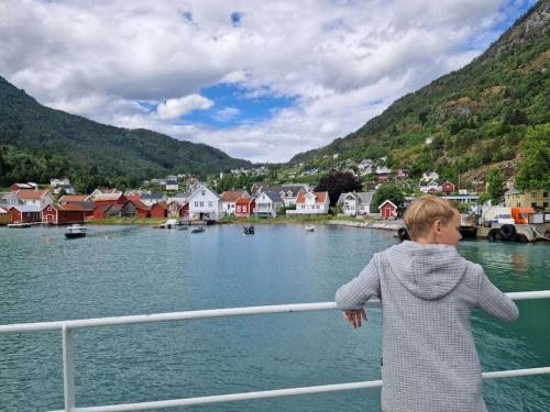 Feriehus ved fjorden i Solvorn in Luster