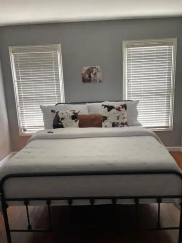 Home in Fort Worth, Fort Worth (fotografie 5)