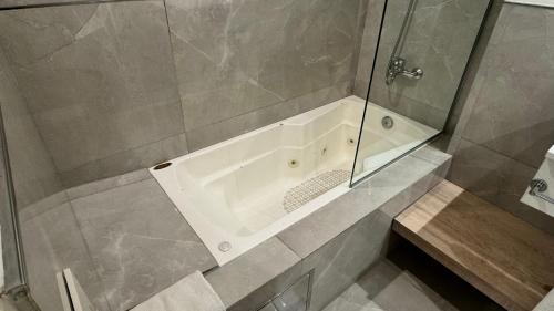 Gardi Hotel & Suites, Buenos Aires (fotografie 8)