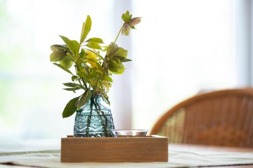 Ferienwohnung Birken Allee 35181 - image 6