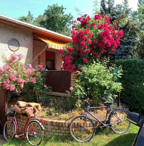 Grüner Bungalow am Kiebitzsee in Falkenberg, Deutschland