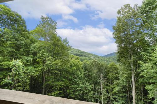 Wildlife Manor in Boone, USA