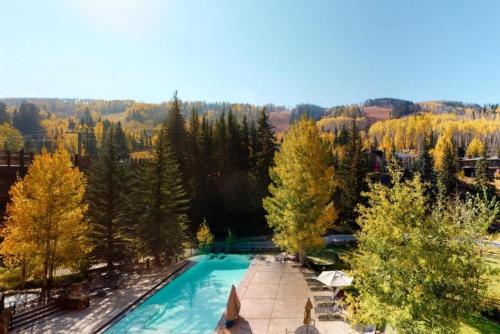 Ski In, Ski Out 1 Bedroom Condo At The Eagle Bahn Gondola