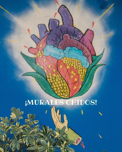 Azul 308 in Teziutlán, Mexico