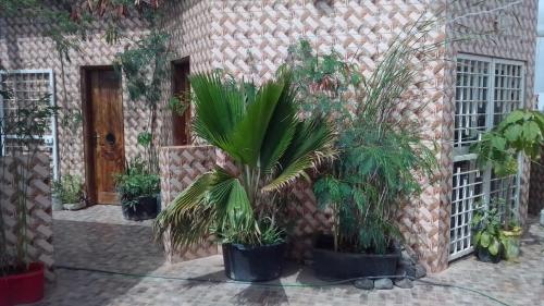 tuin, LaBelleVue - penthouse en Sipres 5, plage in Rufisque