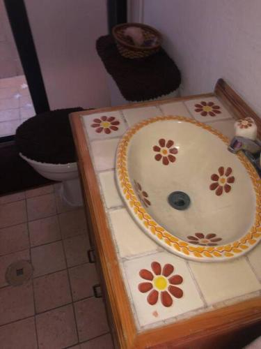 Hermosa cabaña mexicana al sur de la Ciudad de México in Mexico City, Mexico