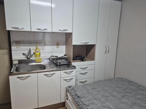 대전 쁘띠하우스 (Petit House) 호텔 로비