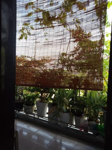 nhà nghỉ Hằng Nga
