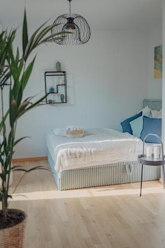 Neue Wohnung im Zentrum, Drážďany (fotografie 4)