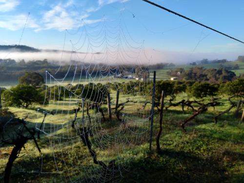 Surrounding environment, Rosie's Cottage Bindoon in Chittering