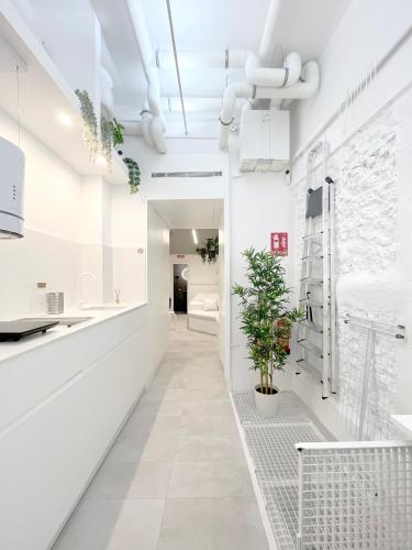 Great design, new & calm apartment in Malasaña