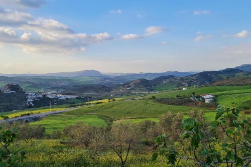 Finca Rustica Los Gamonales Finca Rustica Los Gamonales