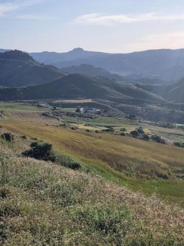 Finca Rustica Los Gamonales Finca Rustica Los Gamonales