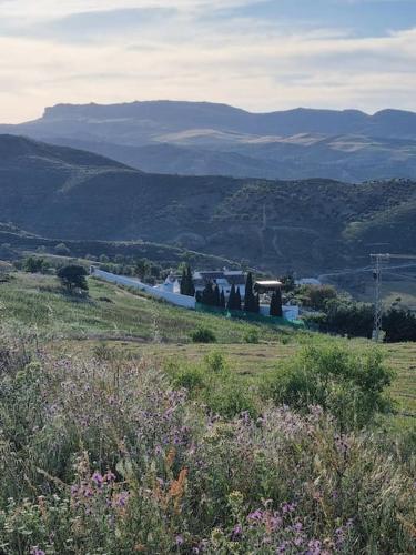 Finca Rustica Los Gamonales Finca Rustica Los Gamonales