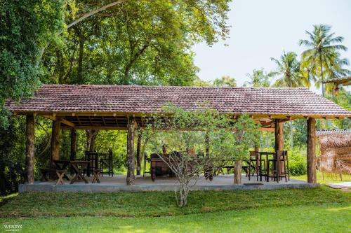 Attractions, Rivendell Twisted Tree in Kurunegala