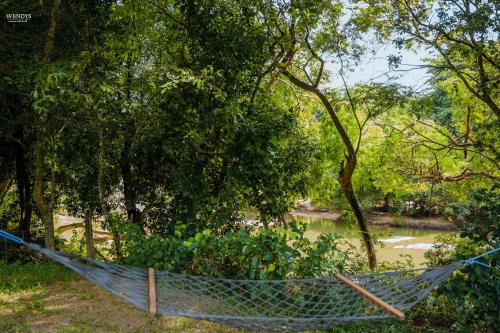 View, Rivendell Twisted Tree in Kurunegala