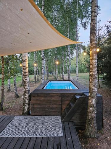 泳池, Leśny Pałapus (Lesny Palapus) in 奧斯特魯夫馬佐維卡