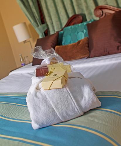 传统白天鹅酒店 传统白天鹅酒店