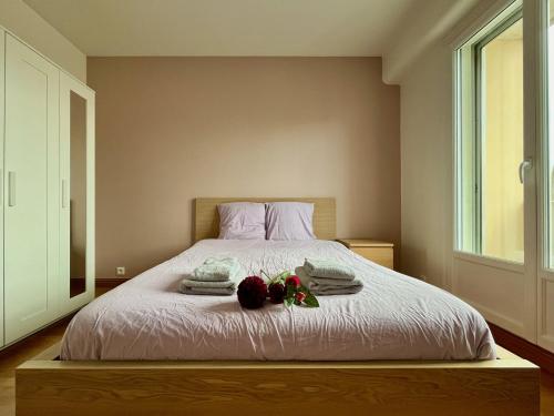 Grand Appartement à Deux Pas De La Vieille Ville - Location saisonnière - Vannes