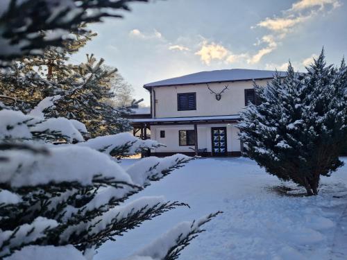 Viesnīcas āriene, Cabana PUFI in Floroaia