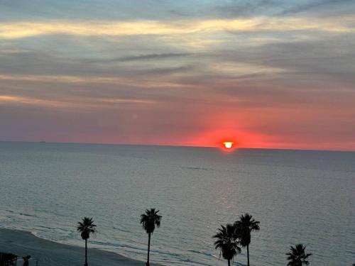 Pardisano in Bat Yam
