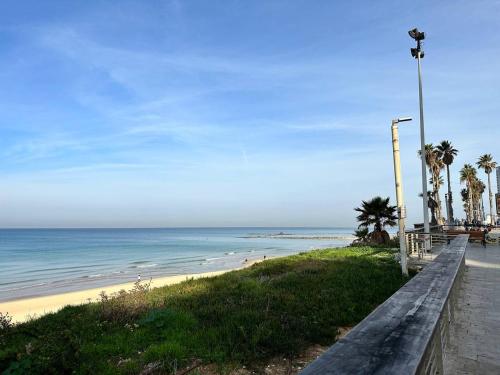Pardisano in Bat Yam