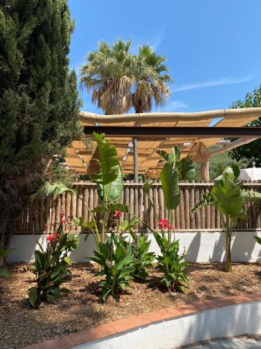 AUBERGE DES PINS – Bandol, WY