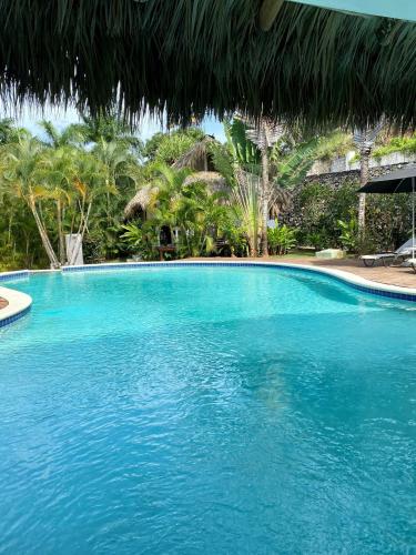 สระว่ายน้ำ, Chalet tropical au cœur de Las Terrenas in เอล เซนโตร