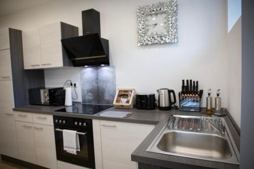 HANNIBAL - Design Apartment Lavendel 4, VW Nähe, Parkplatz, Küche, HighSpeed-WLAN, Fitness, Solarium, Wolfsburg (foto 9)