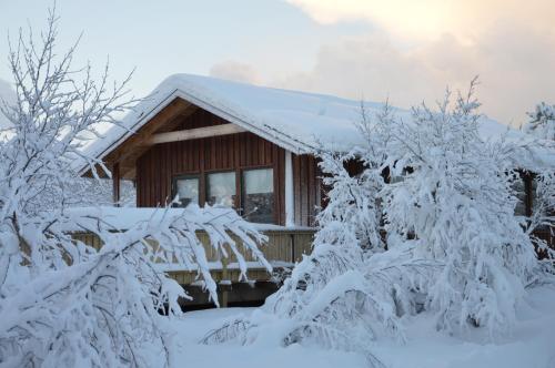 Gesthus Selfoss - image 10
