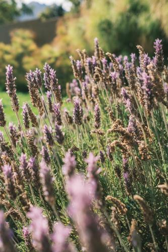 Solar Madariaga Hotel