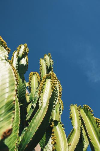 Solar Madariaga Hotel