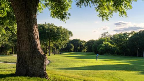 589295503 Dallas/Fort Worth Marriott Hotel & Golf Club at Champions Circle