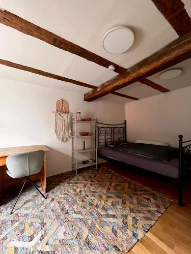 Beautiful big house with garden, Boblingen