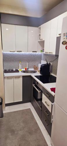 One-Bedroom Apartment image 10