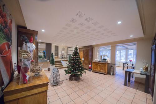 Logis Hotel Restaurant Barrey in Oršampvenna