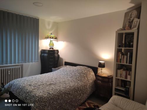 Murat appartement 3 pieces, Strasbourg (photo 8)